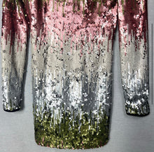 Load image into Gallery viewer, Elizabeth and James Sequin Dress